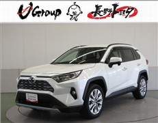 RAV4 G Zパッケージ