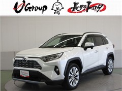 RAV4 G Zパッケージ