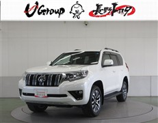 ランドクルーザープラト TX-L
