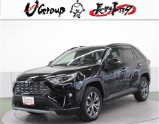 RAV4 ハイブリッドG