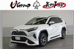 RAV4 ハイブリッドG