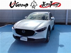 CX-30 20SプロアクティブTG