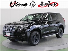 ランドクルーザープラド TZ-G