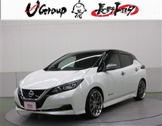 リーフ X 10マンダイキネンシャ