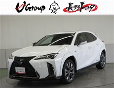 UX250h"F SPORT"