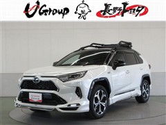 トヨタ RAV4 PHEV ブラックトーン
