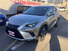 NX300h バージョンL