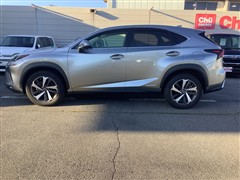 NX300h バージョンL