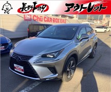 NX300h バージョンL