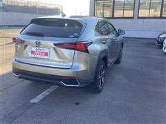 NX300h バージョンL