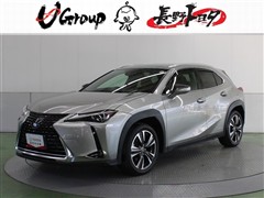 UX250h HEV バージョンL
