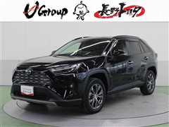 RAV4 ハイブリッドG
