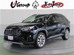 RAV4 G Zパッケージ