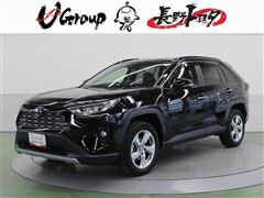 RAV4 G
