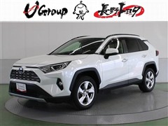 RAV4 HEV G