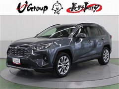 RAV4 G Zパッケージ