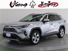 RAV4 HEV G
