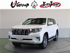ランドクルーザープラド TZ-G