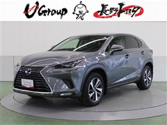 NX300h バージョンL