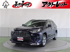 RAV4 G