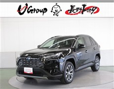 RAV4 ハイブリッドG