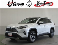 RAV4 ハイブリッドG