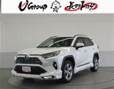 RAV4 G