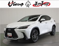 レクサス NX250 バージョンL
