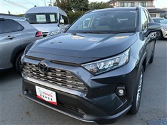 RAV4 G Zパッケージ