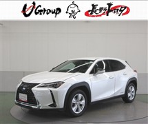 UX250h バージョンC