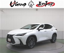 NX250