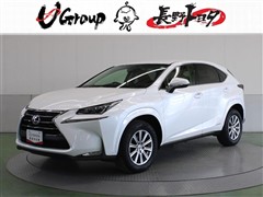 NX300h iパッケージ