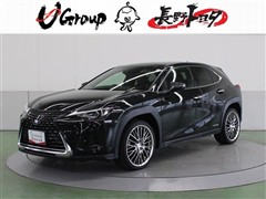 UX250h HEV バージョンC
