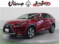 NX300h バージョンL