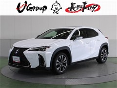 UX250h Fスポーツ