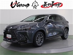 NX250 ヒョウジュンシャ