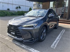 NX250 バージョンL