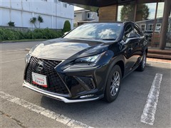 NX300 Fスポーツ