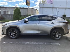NX250 バージョンL