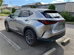 NX250 バージョンL