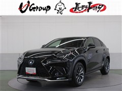 NX300h Fスポーツ