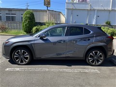 UX250h バージョンL