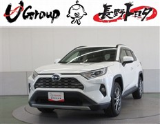 トヨタ RAV4 ハイブリッドG