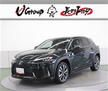 UX250h Fスポーツ