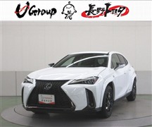 UX250h Fスポーツ
