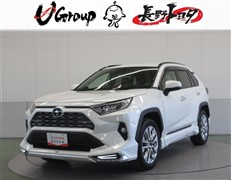 RAV4 G Zパッケージ