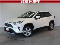 RAV4 G