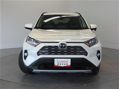RAV4 G