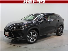 NX300h I パッケージ