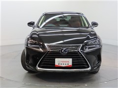 NX300h I パッケージ